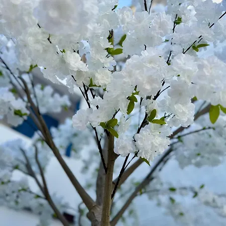 Oasis De Confort Urbano 2 Plantas * Vigo