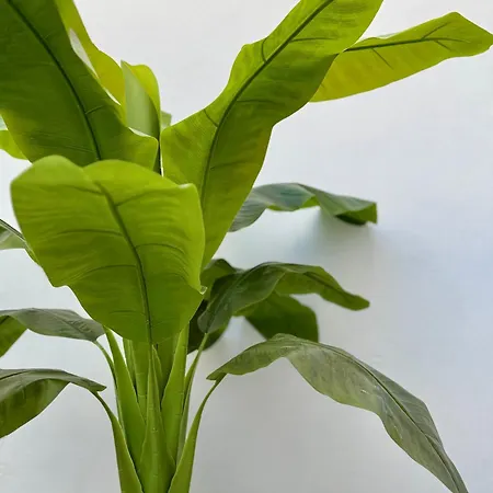 Feriehus Oasis De Confort Urbano 2 Plantas *