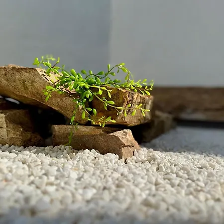 Unetti Oasis De Confort & Terraza Zen - 2 Plantas *