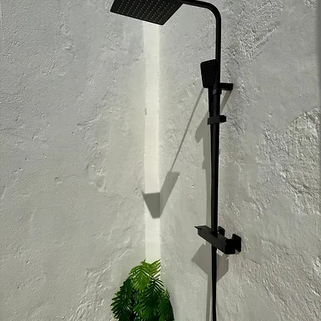 Oasis De Confort Urbano 2 Plantas Vigo