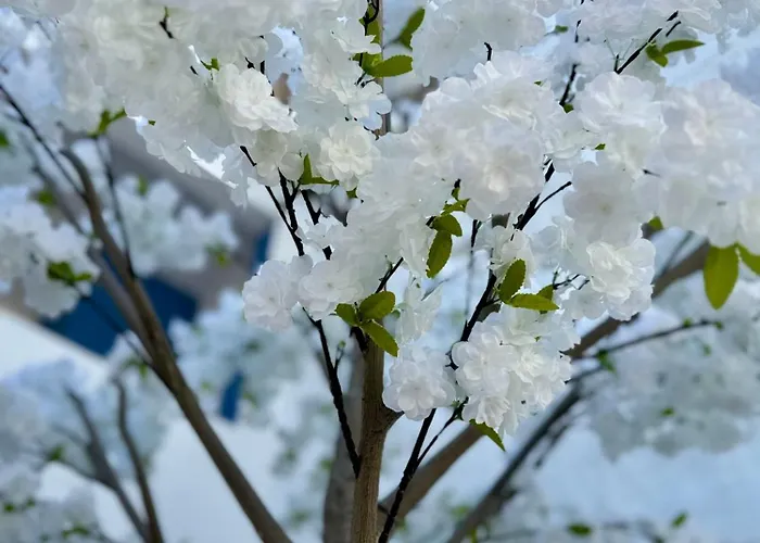 Oasis De Confort Urbano 2 Plantas * Vigo