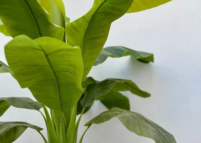 Tatil Evi Oasis De Confort Urbano 2 Plantas *