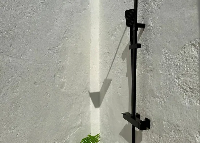 Oasis De Confort Urbano 2 Plantas Vigo